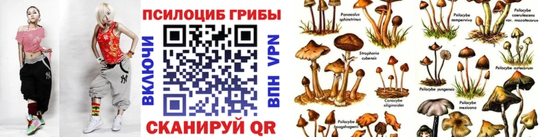 KRAKEN ССЫЛКА  Тутаев  Галлюциногенные грибы MAGIC MUSHROOMS 